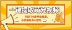 一键智能提取tiktok萌宠视频，多平台分发，小白也可月入过W-网创指引人