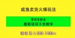 闲鱼卖货火爆玩法，靠售卖电子产品，零成本副业项目最新干货教学-网创指引人