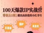 小红书100天爆款IP实战营，带你从0到1做出高价值的小红书号-网创指引人