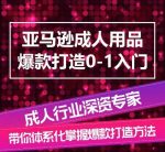 亚马逊成人用品爆款打造0-1入门，系统化讲解亚马逊成人用品爆款打造的流程-网创指引人