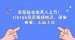 零基础也能月入上w，TikTok风景视频搬运，简单去重，无脑上传【揭秘】-网创指引人