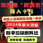 2024年最火项目，如何靠“卖项目”逆装翻身，简单易懂 详细教学 完整版5节课-网创指引人