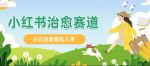 小红书涨粉 4W+， 小白也能批量复制的治愈文案-网创指引人