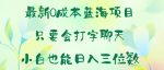 最新0成本蓝海项目 只要会打字聊天 小白也能日入一张-网创指引人