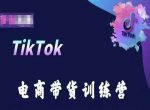 TikTok电商带货训练营，跟随时代潮流，跨境掘金