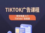 TikTok广告投放课程，从0-1实操课，带你快速入门TikTok广告投放-网创指引人