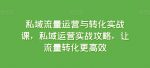 私域流量运营与转化实战课，私域运营实战攻略，让流量转化更高效-网创指引人