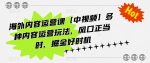 海外内容运营课【中视频】多种内容运营玩法，风口正当时，掘金好时机-网创指引人