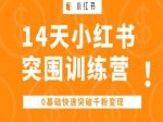 14天小红书突围训练营 ，0基础快速突破千粉变现-网创指引人