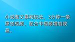 小说推文暴利玩法，3分钟一条原创视频，加入中视频计划多一份收益-网创指引人